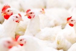 David Tadevosian | Shutterstock