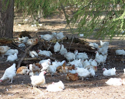 Slow growth production may cost more in terms of efficiency, but the cost may be matched by the monetary value of improvements in welfare and sustainability. (Hubbard)