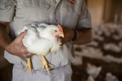 Beth Hal | Tyson Foods