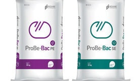 Pathway Intermediates Pro Be Bac