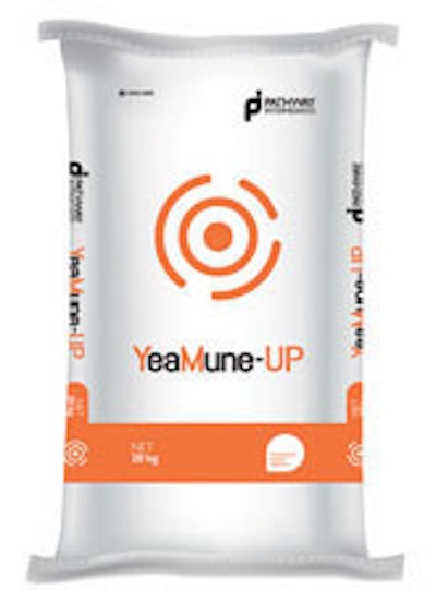 Pathway Intermediates Yea Mune Up