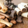 Extrusion experts must play their part in meeting pet food industry sustainability goals. | (sanjagrujic | iStock.com)