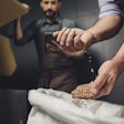 Brewery Worker Inspecting Grains