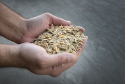 Cattle Feed Inhuman Hands