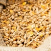 Compound Feed In Sacks Fodder