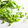 Fresh green peas pods and green peas with sprouts on white wo