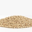 A Lot Of Soybeans Pile Isolated On White Background With Copy Sp