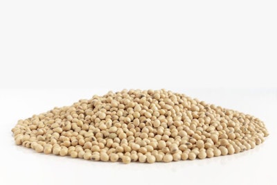 A Lot Of Soybeans Pile Isolated On White Background With Copy Sp
