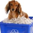 (Willee Cole | BigStock.com)