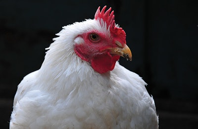 (Boida Anatolii | Shutterstock.com)