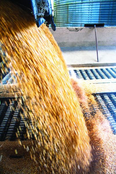 With commodity prices rising, experts note that alternative ingredients aren’t the only option for reducing costs. (Alfribeiro | iStock.com)