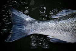 Fish acquaculture fish farm VIA PIXABAY March 2021