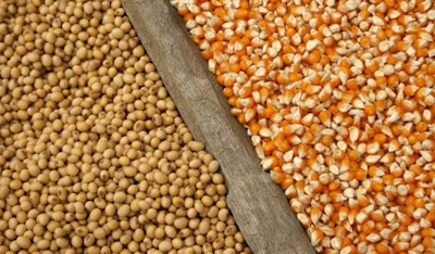 Soybeans And Corn Seeds