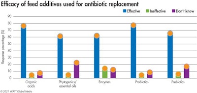 Efficacy Of Antibiotic Replacement Feed Additives 2021