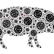Mosaic Pig Plague Constructed From Sars Virus Icons In Various S