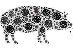 Mosaic Pig Plague Constructed From Sars Virus Icons In Various S