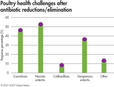 Poultry Health Issues Without Ag Ps 2021
