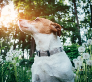 588096 5f493cca22627