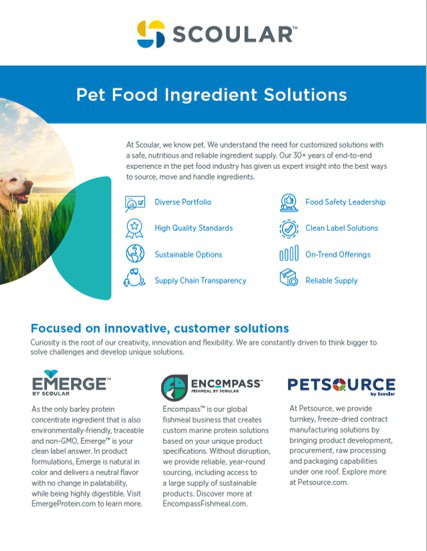 Pet Brochure Cover Page