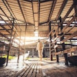 People Wearing Personal Protective Equipment Or Ppe With Sprayin