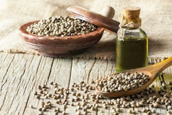 Heap Of Dried Organic Hemp Seeds Or Cannabis Plant Seeds In Spoo