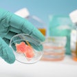 Meat Cultured In Laboratory Conditions. Gloved Hand Holding Disp