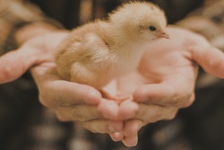 There's no question that COVID-19 impacted the poultry industry, including changes in business and consumer behavior, but some changes will stay around longer than others. | Jozsef Szucs I iStock.com
