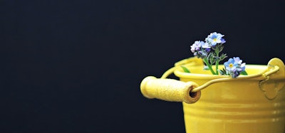 Bucket 2156659 1920