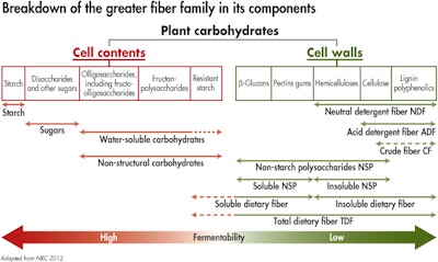 Fiber is a terminology that encompasses many diverse compounds with disparate chemical, physical and biological properties.