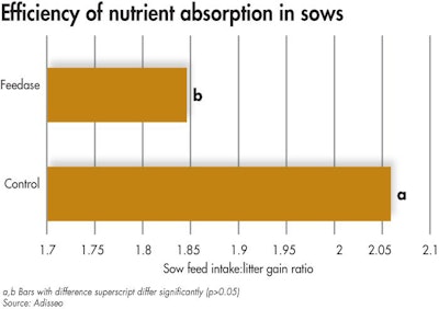 Feedase Enhances Sow Nutrient Absorption