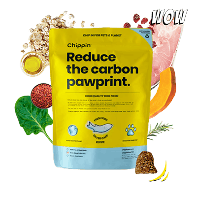 Chippin Silver Carp Daily Food For Dogs