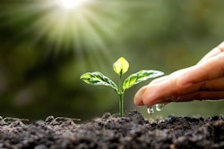 Green Trees Growing On The Ground And Agriculture Hands That Wat