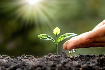 Green Trees Growing On The Ground And Agriculture Hands That Wat