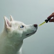 CBD products in the pet space may be controversial, but they are popular — and they appear to be here to stay as a growing trend.