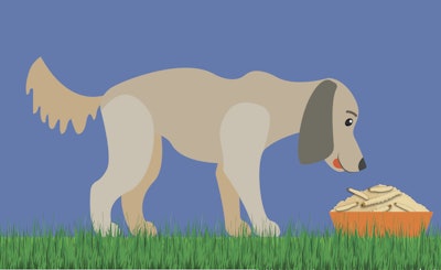 Ongoing increases in production and investment, plus regulatory approval, may mean insect protein is approaching mainstream for pet food. | robuart I shutterstock.com