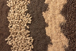 animal-feed-bkgrnd
