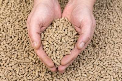 Hands Hold Granules Of Animal Feed. Food For Animals.