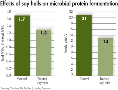Soy Hulls Protein Fermentation