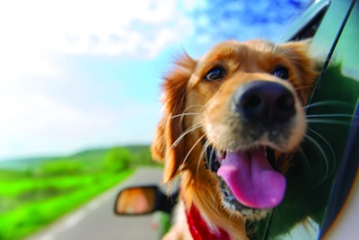 Sustainability is the type of trend with staying power, and it’s consumer knowledge that will determine where it takes the pet food industry. | (LeventeGyori | Shutterstock.com)