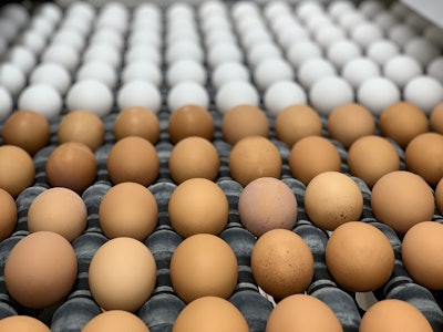 Brown versus white - consumer preference can be based simply on which strains of layers where first introduced into a country or region. (Vincent Guyonnet)