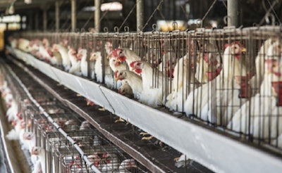 (Food Safety News)