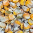 Mycotoxin webinar Dec 2021 closeup aspergillus flavus a parasiticus producer
