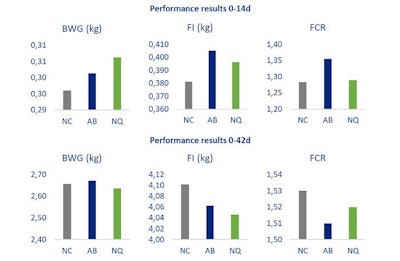 Figure 2: The effects of 3 treatments on performance of broilers at 14 and 42 days of age during a mild NE challenge. (Source: NUQO)