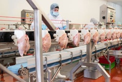 The Meat Factory. Chicken On A Conveyor Belt.meat Processing Pla