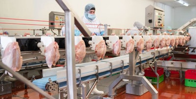 The Meat Factory. Chicken On A Conveyor Belt.meat Processing Pla