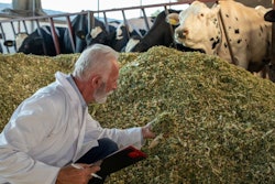 Mature Technologist Checking Quality Of Cattle Feed Lucerne (alf