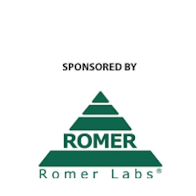 Romer Sponsored Logo 200x20