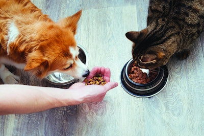 The dog and cat food and treats market continues to grow in spite of its mature status. anastas I iStock.com