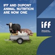 Iff pt 1 1 advertorial