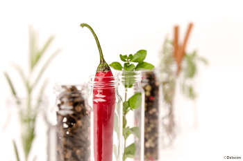 NATIVE_Delacon_Phytogenics_c_Delacon_article4